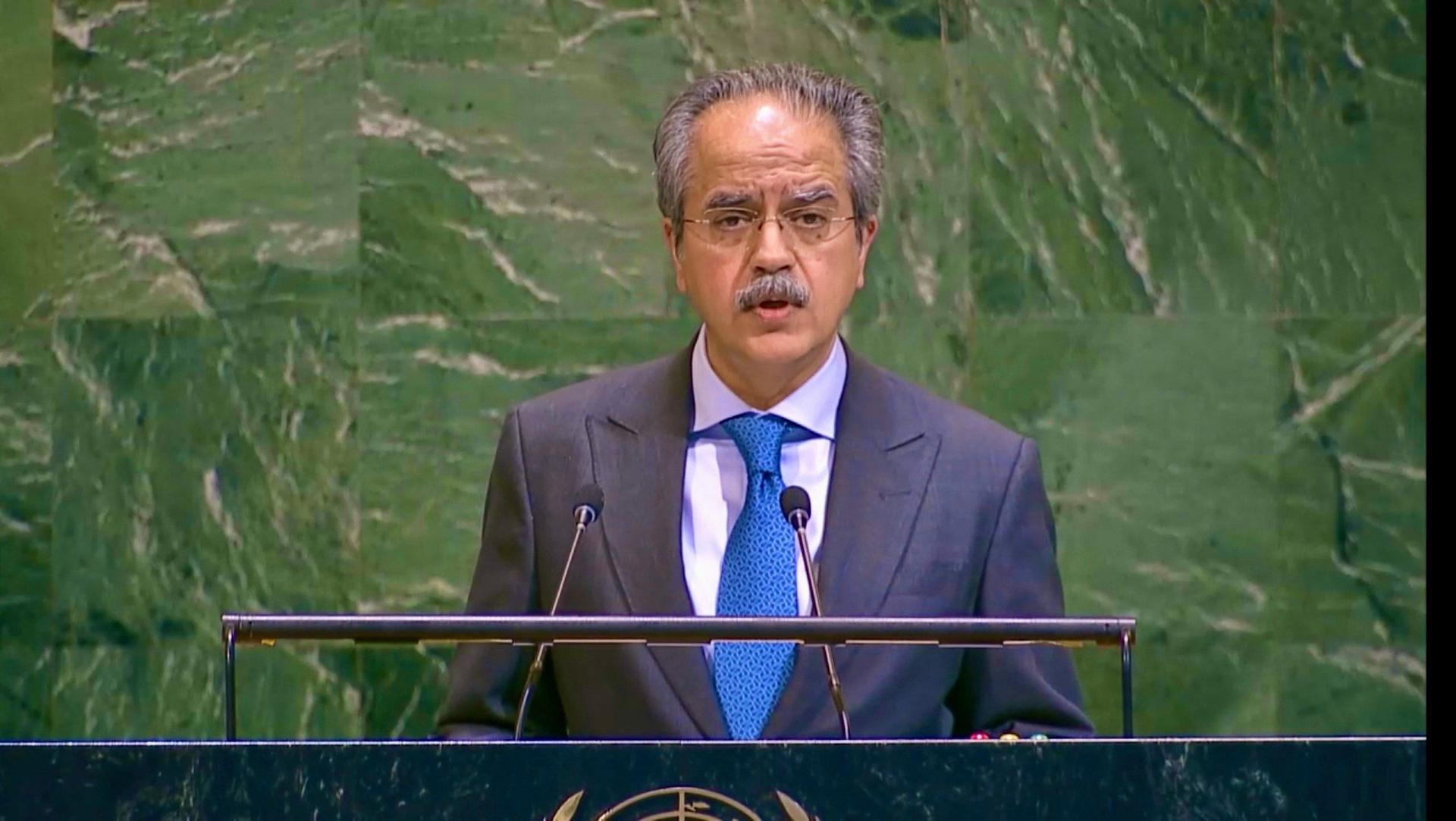 Foreign Minister Addressing the Nuclear Energy Summit 2024