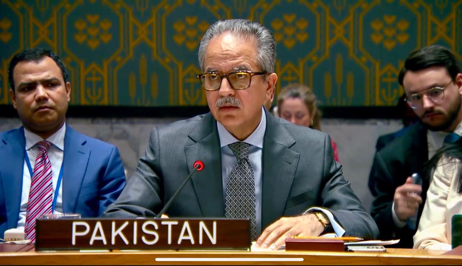Foreign Minister Addressing the Nuclear Energy Summit 2024