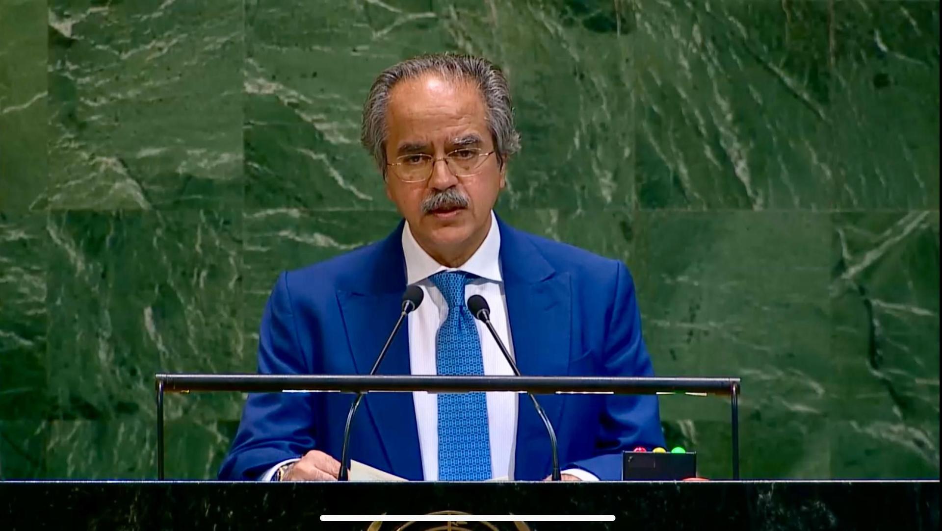 Foreign Minister Addressing the Nuclear Energy Summit 2024