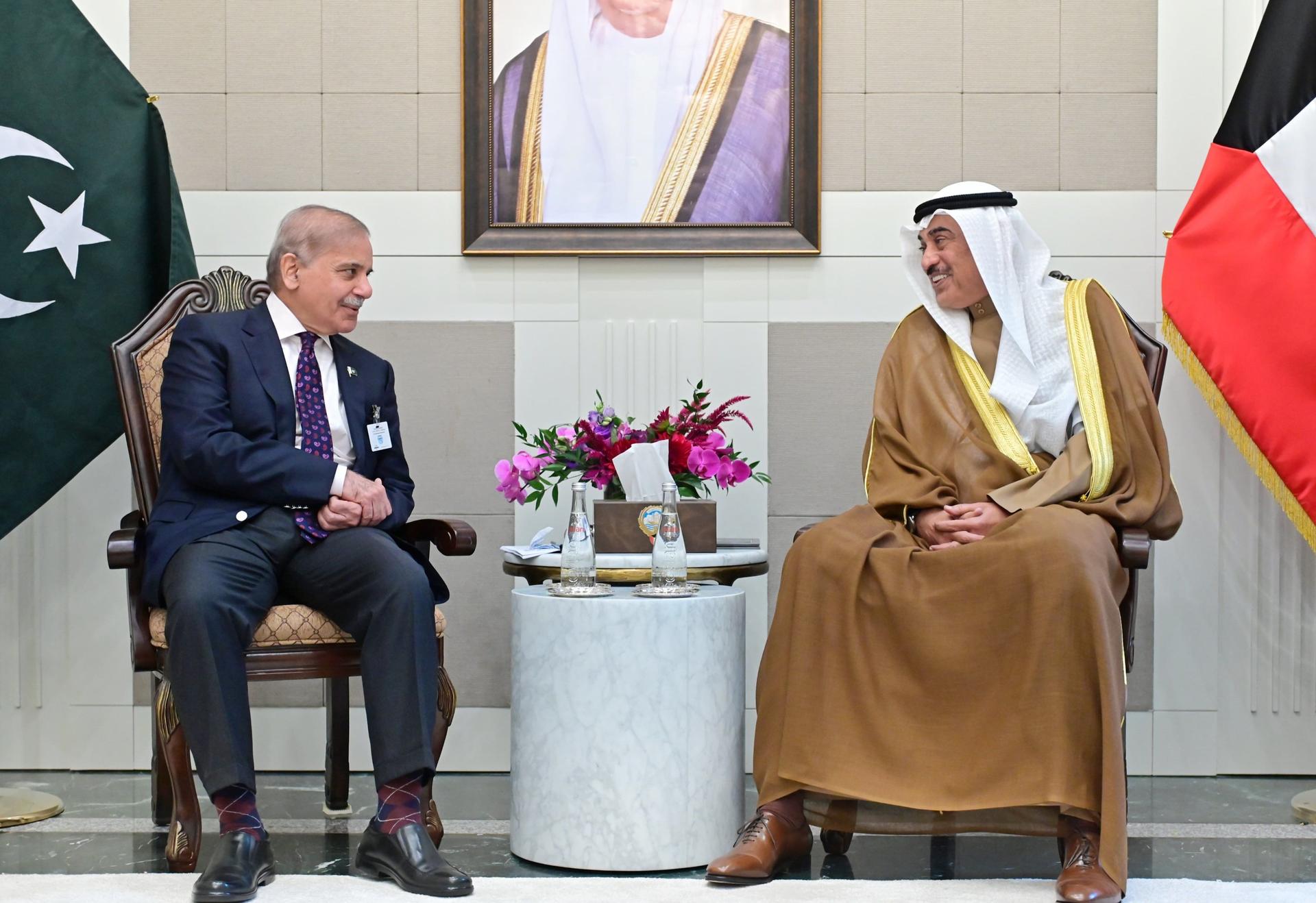 Foreign Minister Addressing the Nuclear Energy Summit 2024