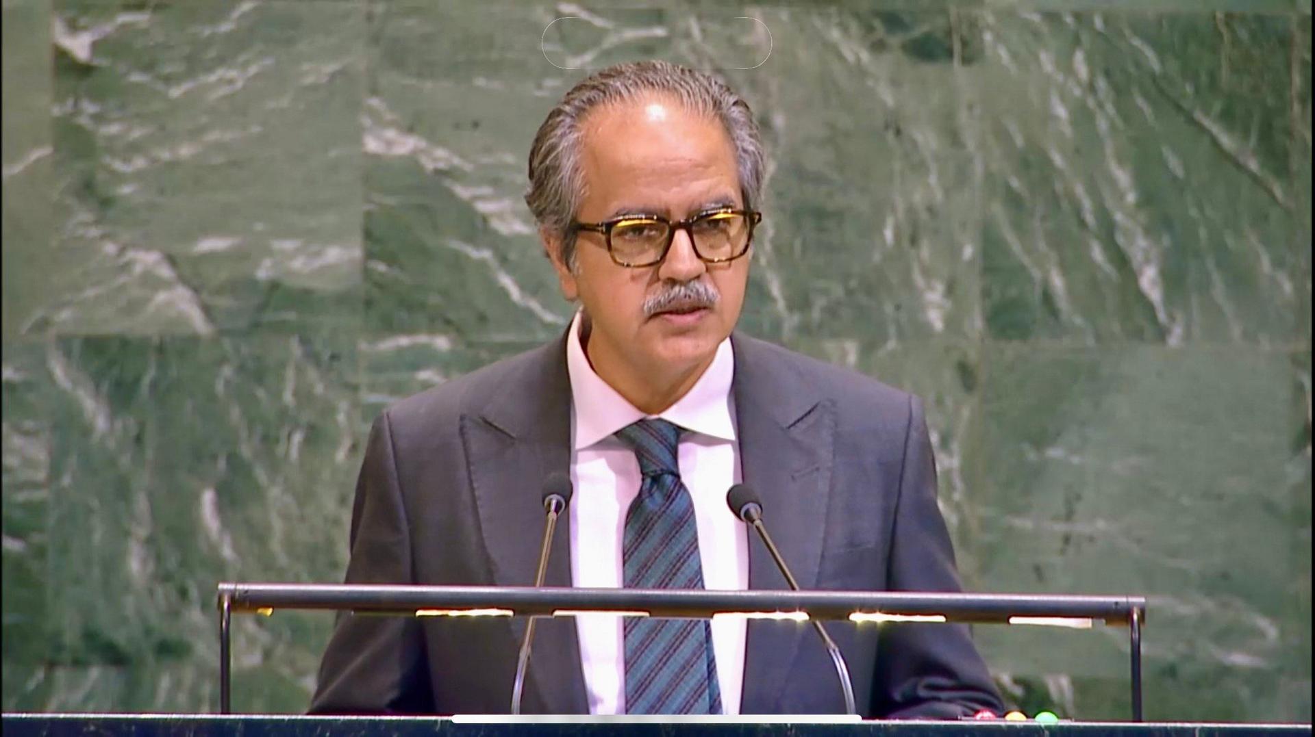 Foreign Minister Addressing the Nuclear Energy Summit 2024